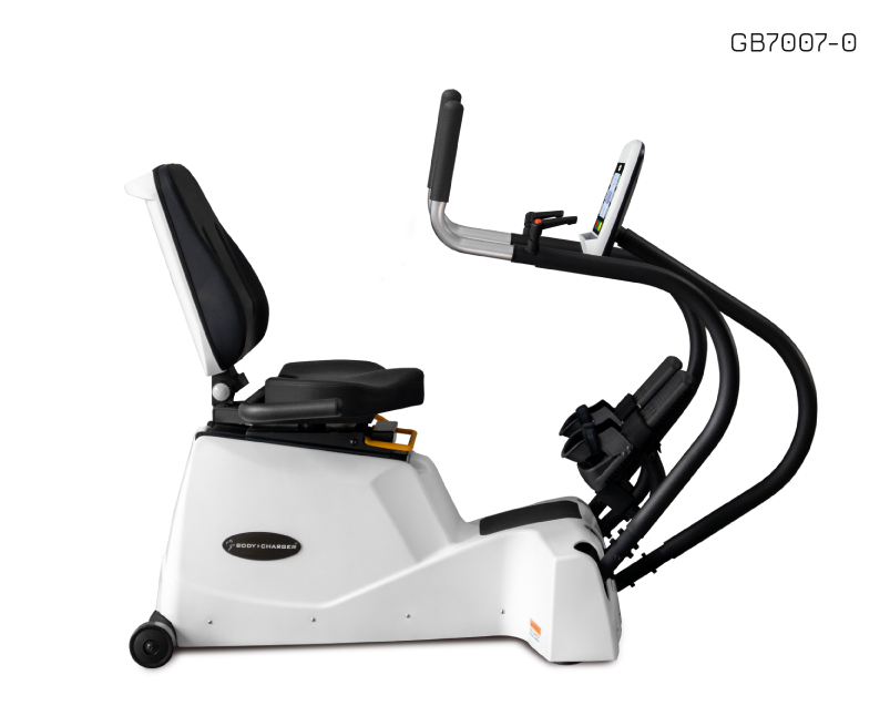 Recumbent Linear Stepper-Standard Console