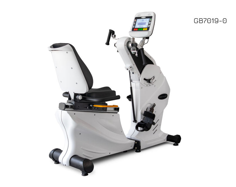Total Body Recumbent Bike-Standard Console