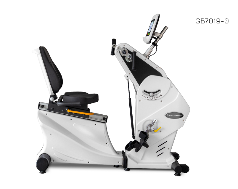 Total Body Recumbent Bike-Standard Console