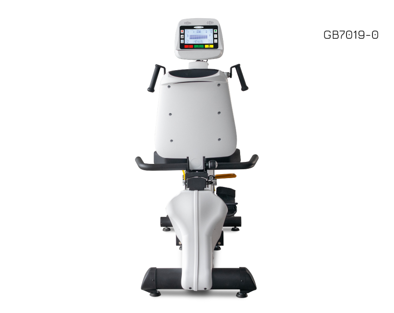 Total Body Recumbent Bike-Standard Console